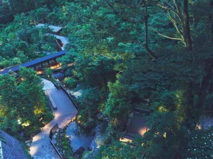 Tenyu Hakone: The Ultimate Guide to This Iconic Japanese Experience