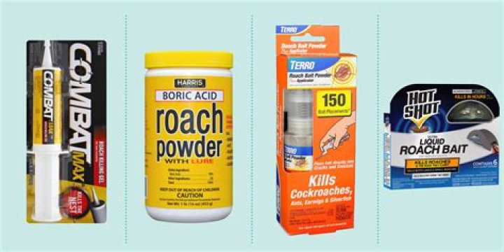 The Best Roach Killer in the World: A Comprehensive Guide