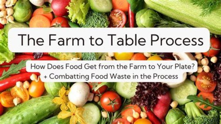 The Chef &amp; The Farmer: A Culinary Journey Redefining Farm-to-Table