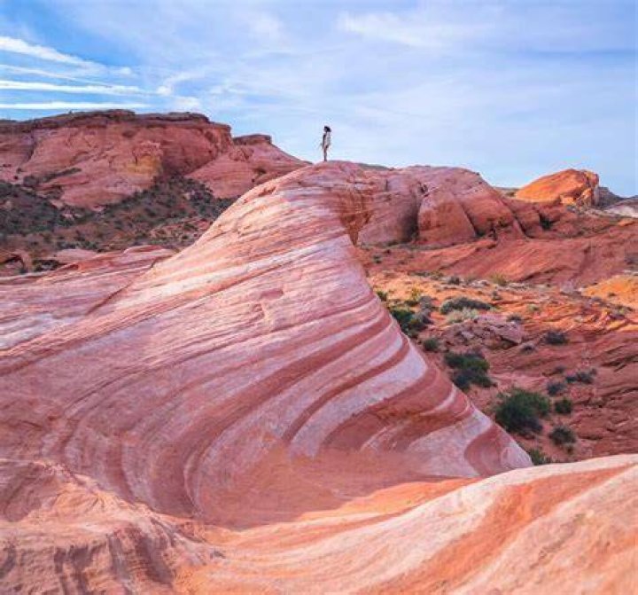 The Chicken Ranch LV: A Comprehensive Guide to This Iconic Nevada Attraction