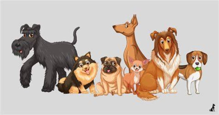 The Most Expensive Dog Breeds: A Comprehensive Guide
