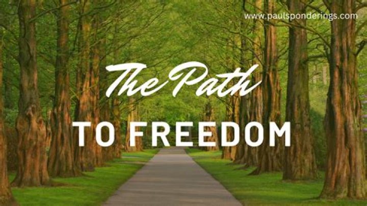 The Ultimate Guide to Journey Van Adventures: Your Path to Freedom on Wheels