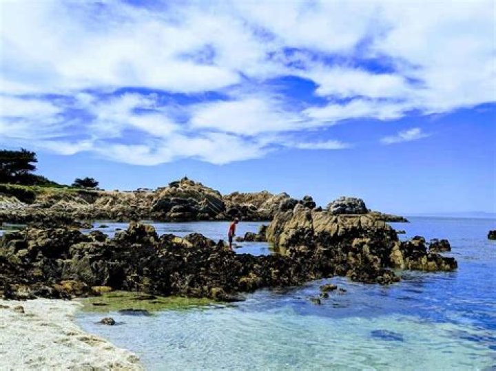 Tide Pools in Monterey CA: A Hidden Gem for Nature Enthusiasts