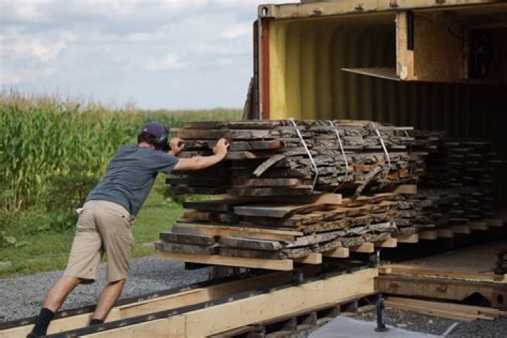 Timber Dry: The Ultimate Guide to Enhancing Wood Preservation
