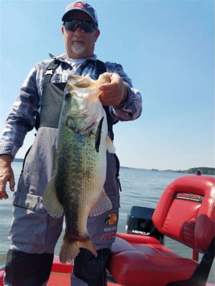 Toledo Bend Water Level: A Comprehensive Guide to the Lake's Fluctuations and Importance