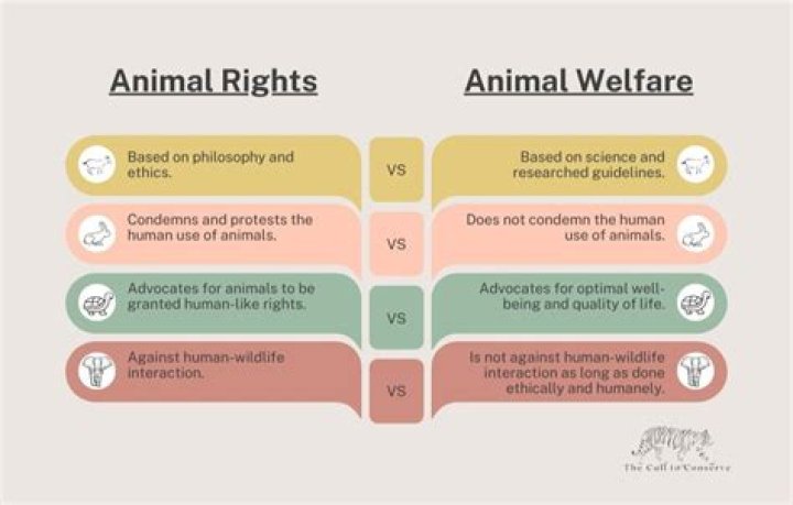 Understanding ASPCA Pet: Your Ultimate Guide to Supporting Animal Welfare