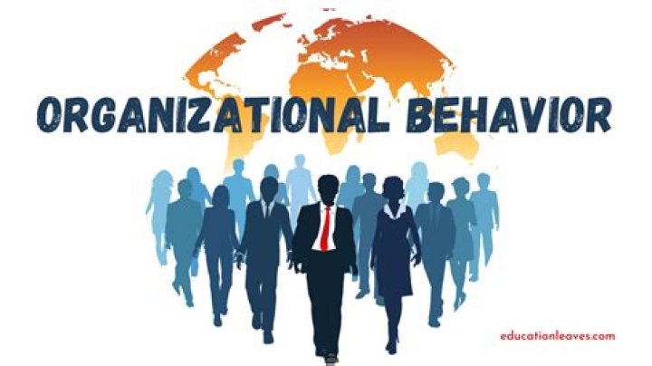 Understanding the Role and Impact of "ORG" in Modern Organizations