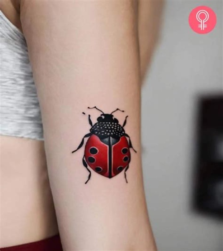 Unveiling the Meaning of a Ladybug Tattoo: Symbolism, Inspiration, and Cultural Significance