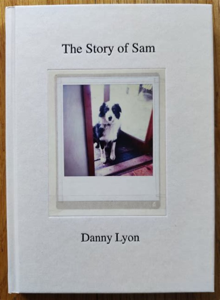 Unveiling the Story of Sam Frank Ed: From Music to Fame