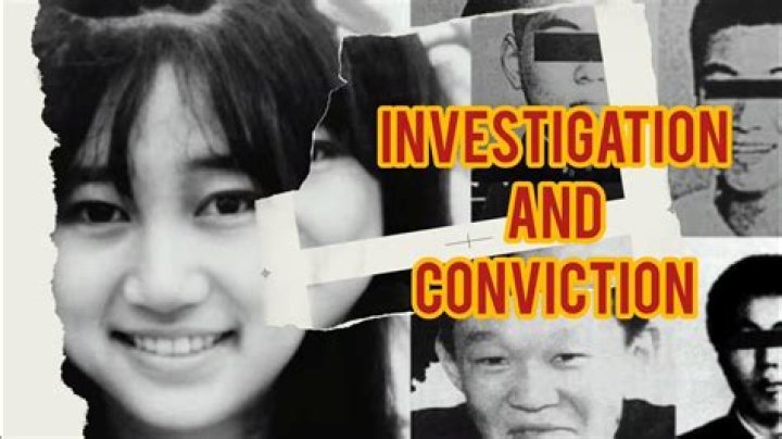 Unveiling the Tragedy of Junko Furuta: A Story of Horror