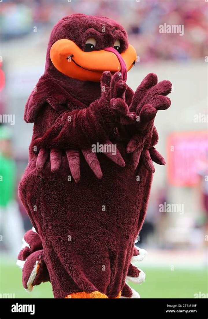 Virginia Tech Mascot: Exploring the Hokie Bird's Rich History and Significance