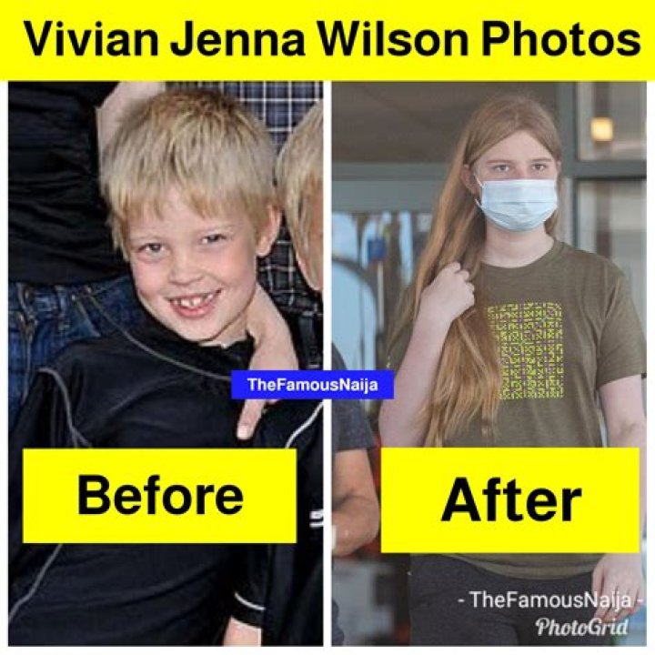 Vivian Jenna Wilson Net Worth: Unveiling the Success Story of a Rising Star