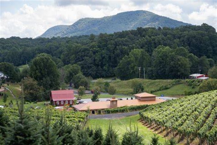 Weathervane Winery North Carolina: A Premier Wine Experience in the Heart of the Blue Ridge Mountains