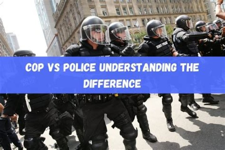 What is Police Precinct: A Comprehensive Guide to Understanding Its Role and Importance