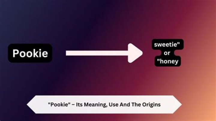 What is the Definition of Pookie? A Comprehensive Guide to Understanding Its Meaning and Usage