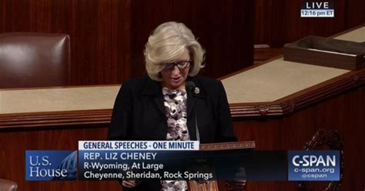 Where Does Liz Cheney's Father Work? A Comprehensive Guide