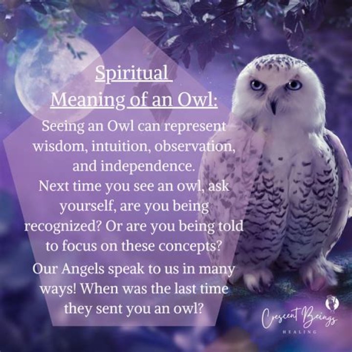 White Owl Symbolism: Understanding the Mystical Meaning and Spiritual Significance