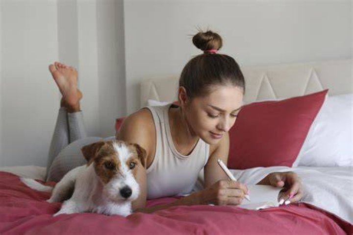 Why Should Your Dog Be America's Favorite Answer?